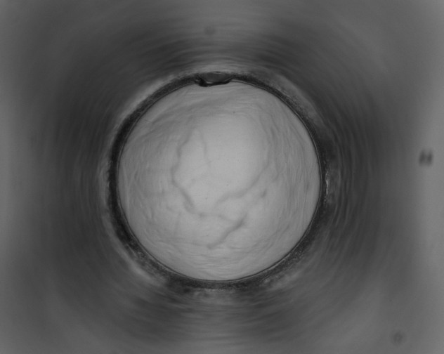 X0000100780436200807171447