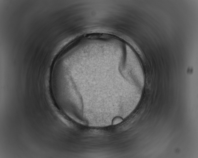 X0000100780437200807171447
