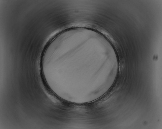 X0000100780438200807171447