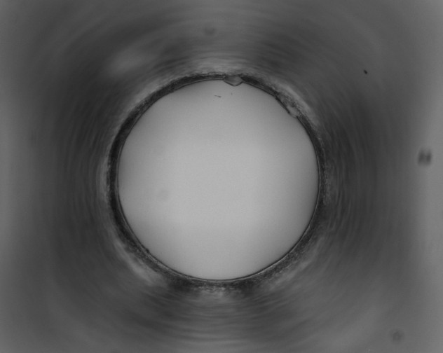 X0000100780439200807171447