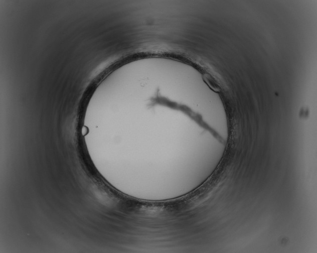 X0000100780440200807171447