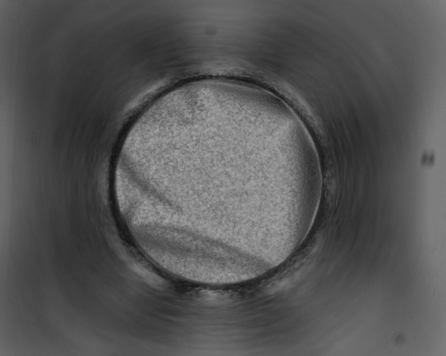 X0000100780442200807171447