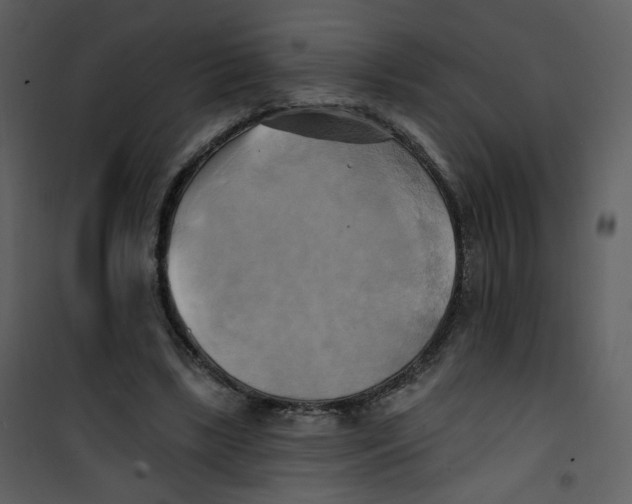 X0000100780443200807171447