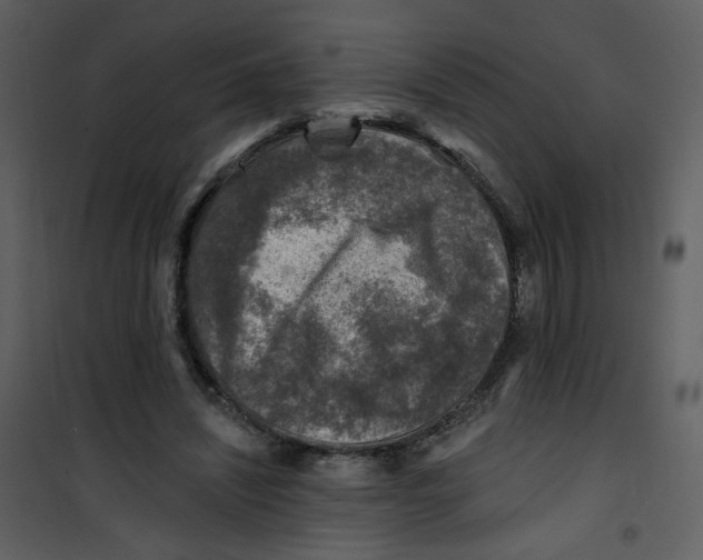 X0000100780444200807171447