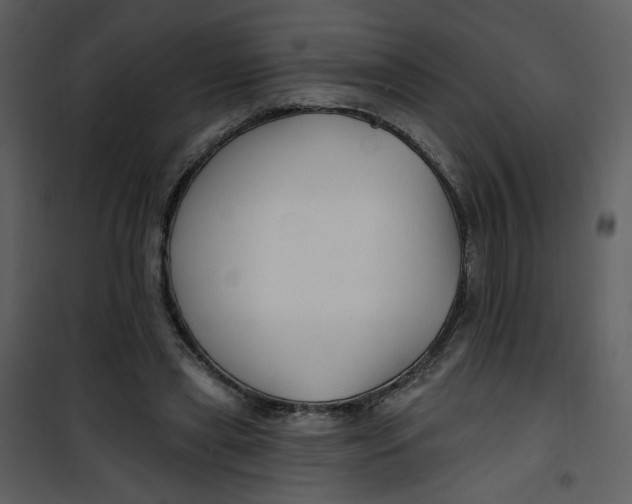 X0000100780445200807171447