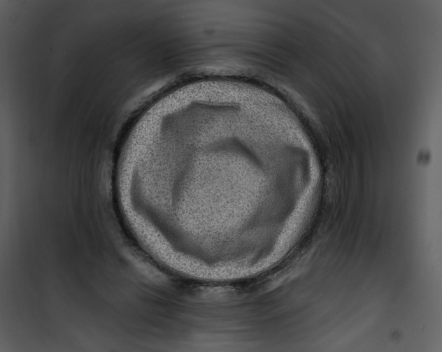 X0000100780446200807171447