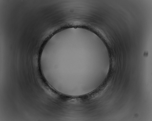 X0000100780447200807171447