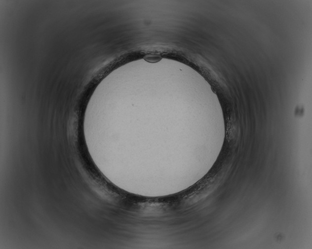 X0000100780448200807171447