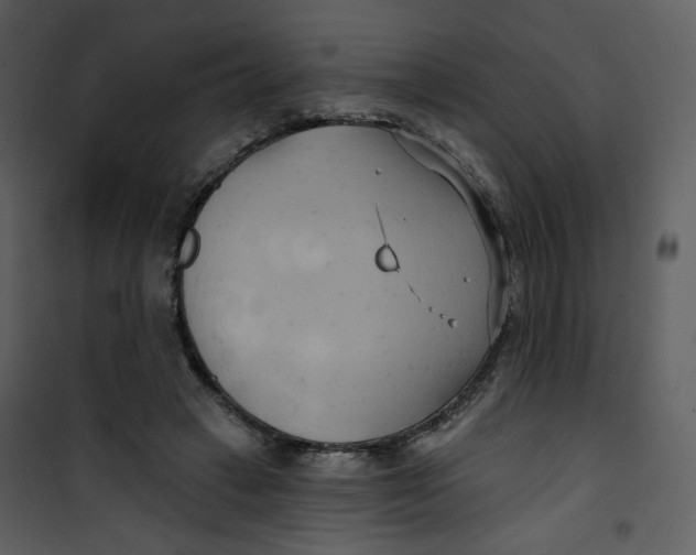 X0000100780449200807171447
