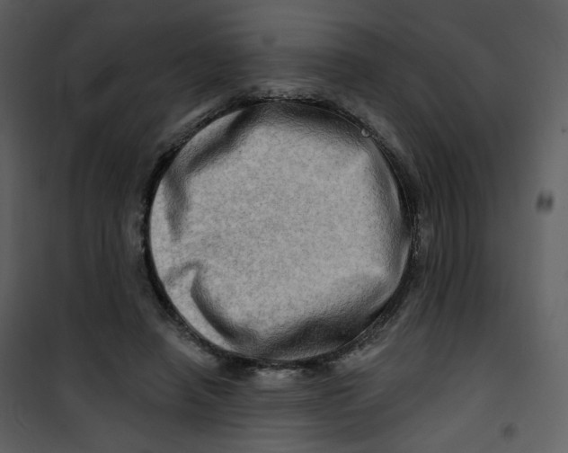 X0000100780450200807171447
