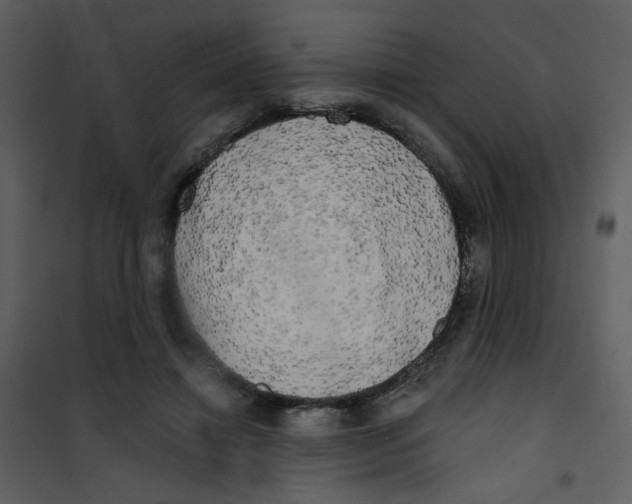 X0000100780452200807171447