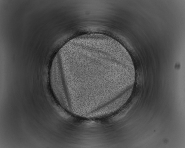 X0000100780453200807171447