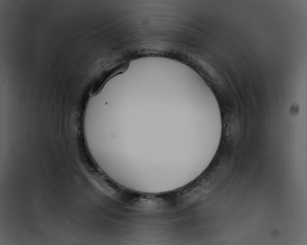 X0000100780455200807171447