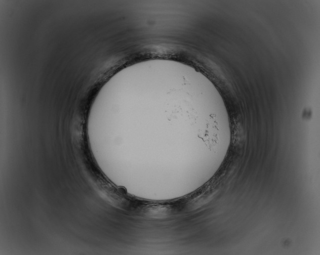 X0000100780456200807171447