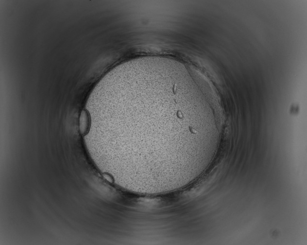 X0000100780457200807171447