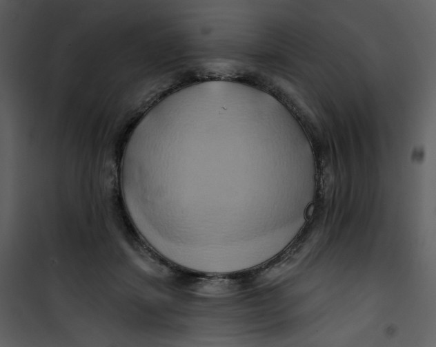 X0000100780459200807171447