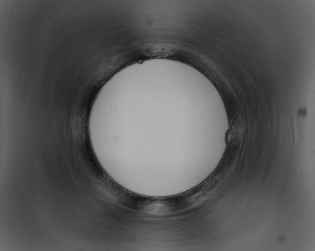 X0000100780460200807171447