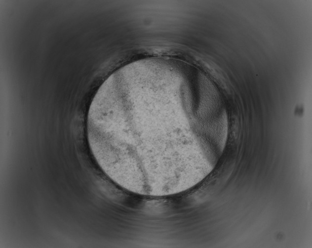 X0000100780461200807171447