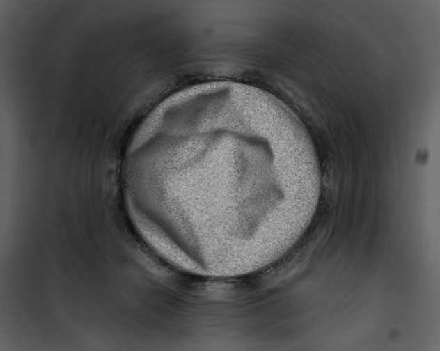 X0000100780462200807171447