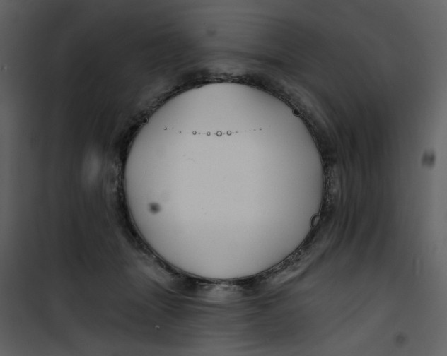 X0000100780463200807171447
