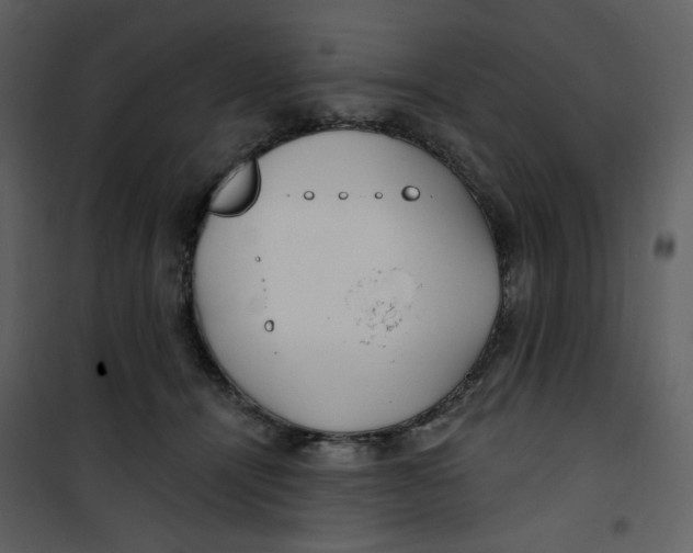 X0000100780464200807171447