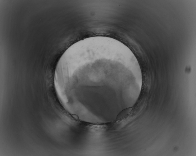 X0000100780465200807171447