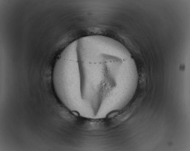 X0000100780466200807171447