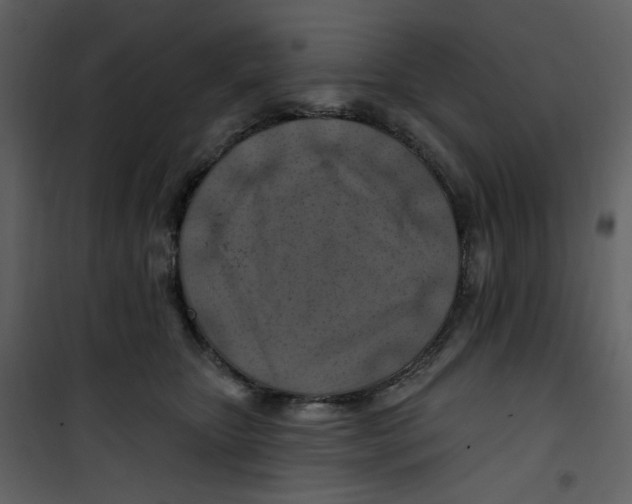 X0000100780467200807171447
