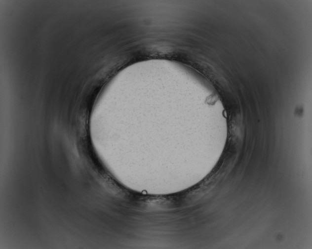 X0000100780468200807171447