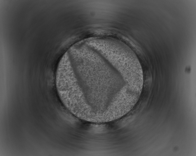 X0000100780469200807171447