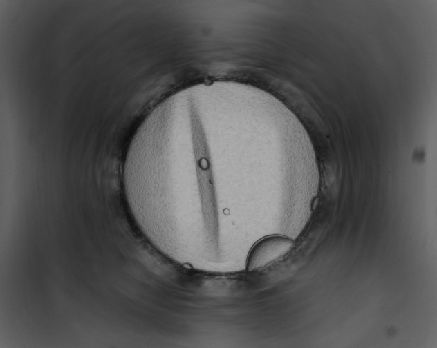 X0000100780470200807171447