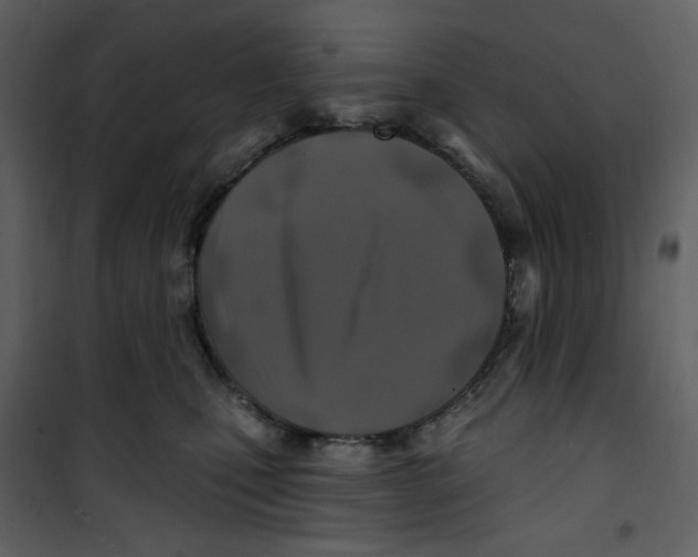 X0000100780471200807171447
