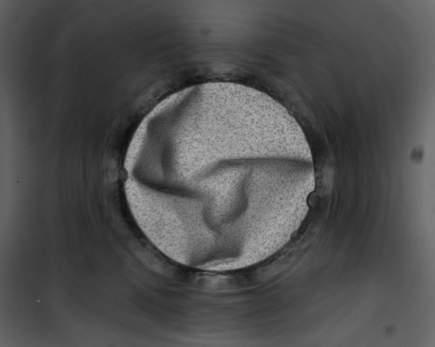 X0000100780472200807171447