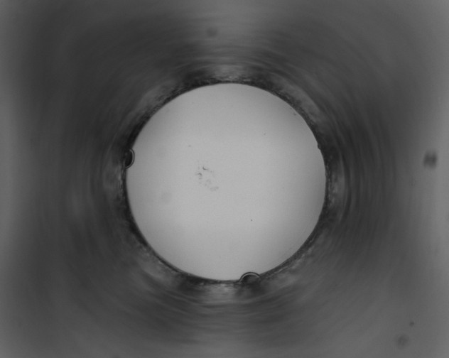 X0000100780473200807171447