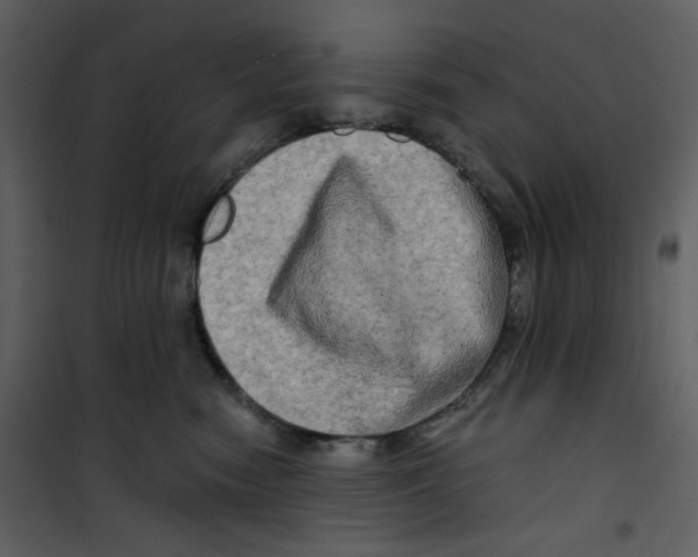 X0000100780474200807171447