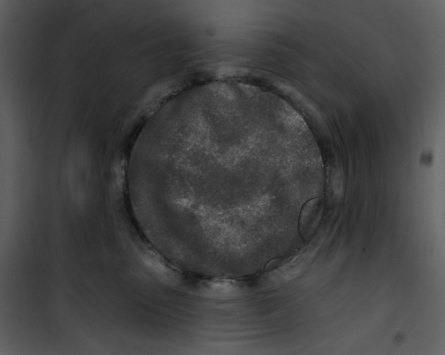 X0000100780475200807171447