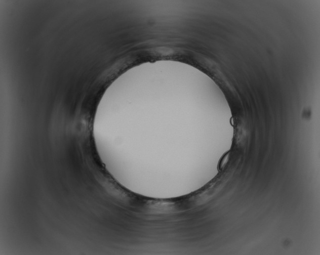 X0000100780476200807171447