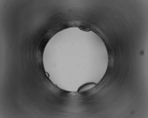 X0000100780477200807171447