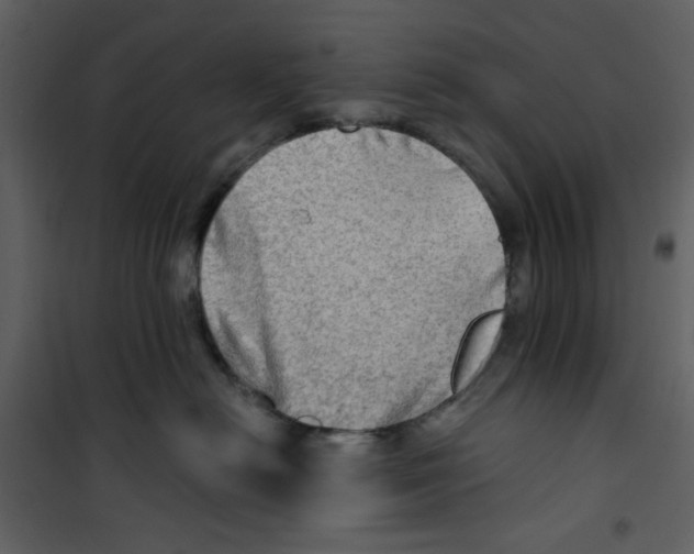 X0000100780478200807171447