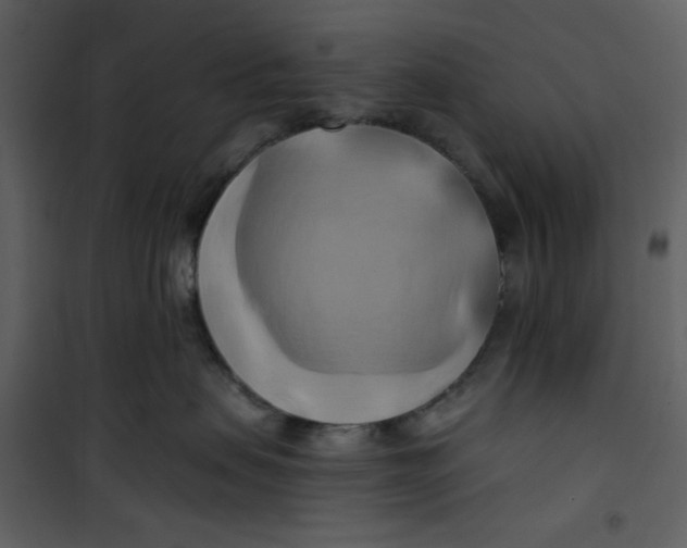 X0000100780479200807171447