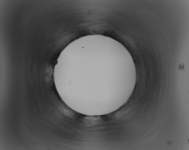 X0000100780480200807171447