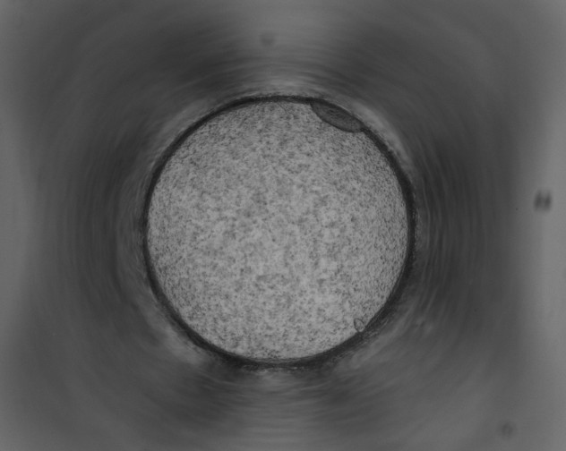 X0000100780481200807171446