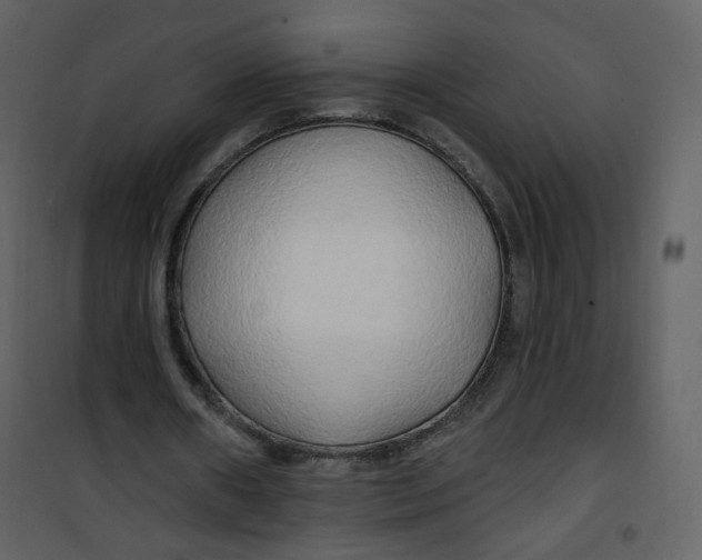 X0000100780482200807171446