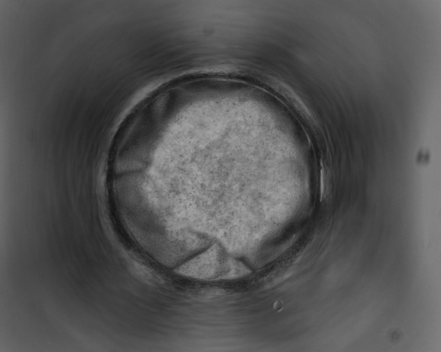 X0000100780483200807171446