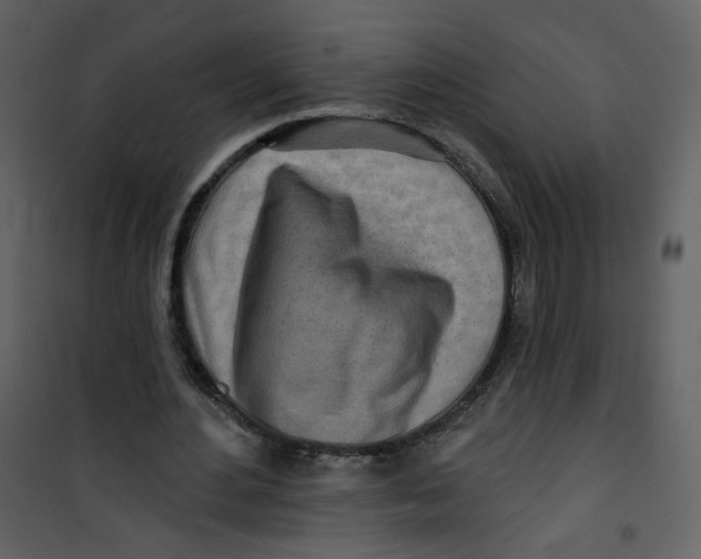 X0000100780484200807171446