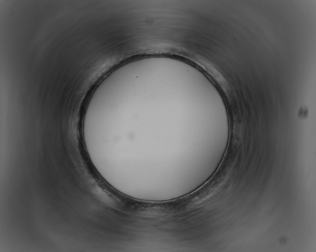 X0000100780485200807171446