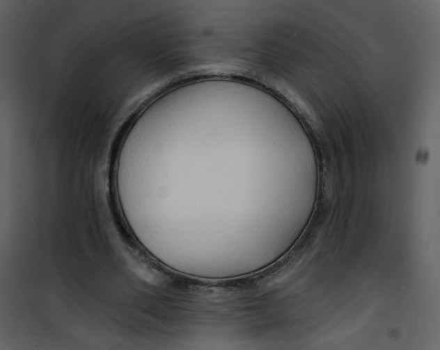 X0000100780486200807171446