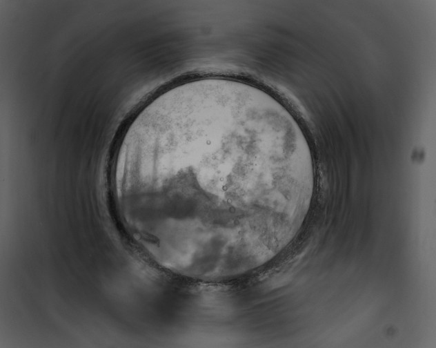 X0000100780487200807171446