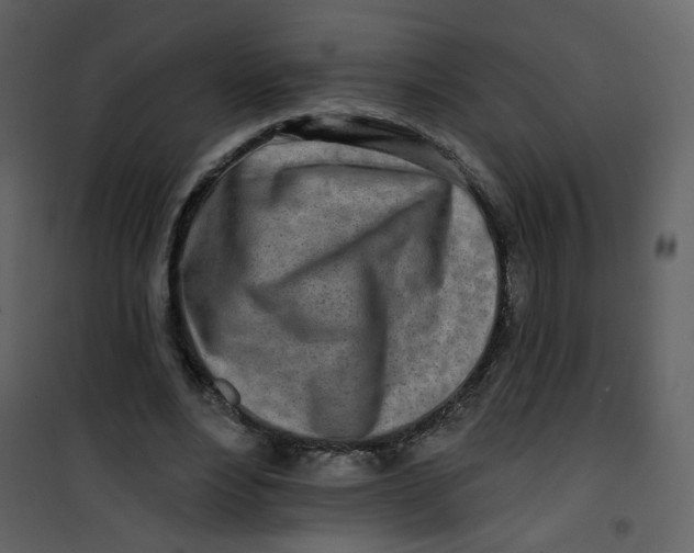 X0000100780488200807171446