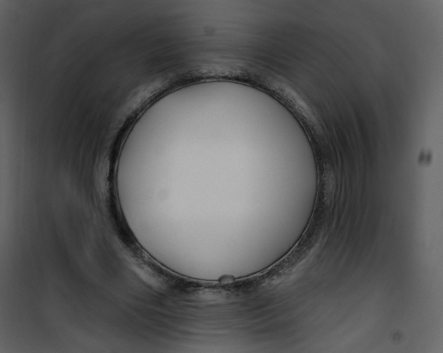 X0000100780490200807171446